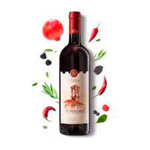 Vino Tinto CARIGNAN OLD VINE